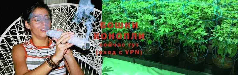 Бошки Шишки VHQ  купить  цена  Зима 